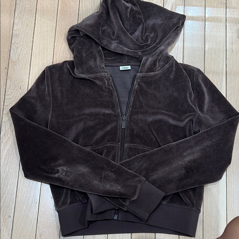 Aritzia Sunday best Velour Hoodie